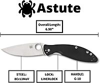Spyderco Astute Value Knife with 3.02" Stainless Steel Blade and Durable Black G-10 - PlainEdge - C252GP
