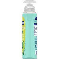 Softsoap Antibacterial Liquid Hand Soap Pump - 11.25 fl. oz. Bottle Citrus 1 Count (Pack of 1)