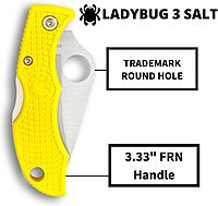Spyderco Ladybug 3 Lightweight Lockback Folding Knife