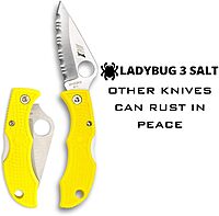 Spyderco Ladybug 3 Lightweight Lockback Folding Knife