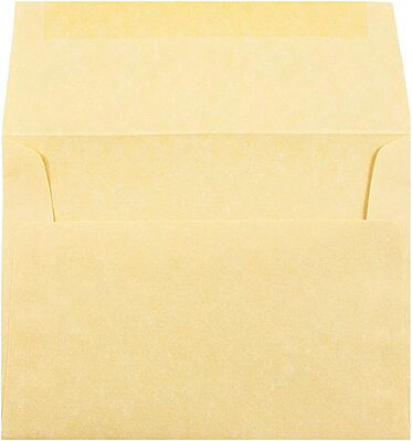 JAM PAPER Parchment Booklet Invitation Envelopes - 24 lb, 30% Recycled