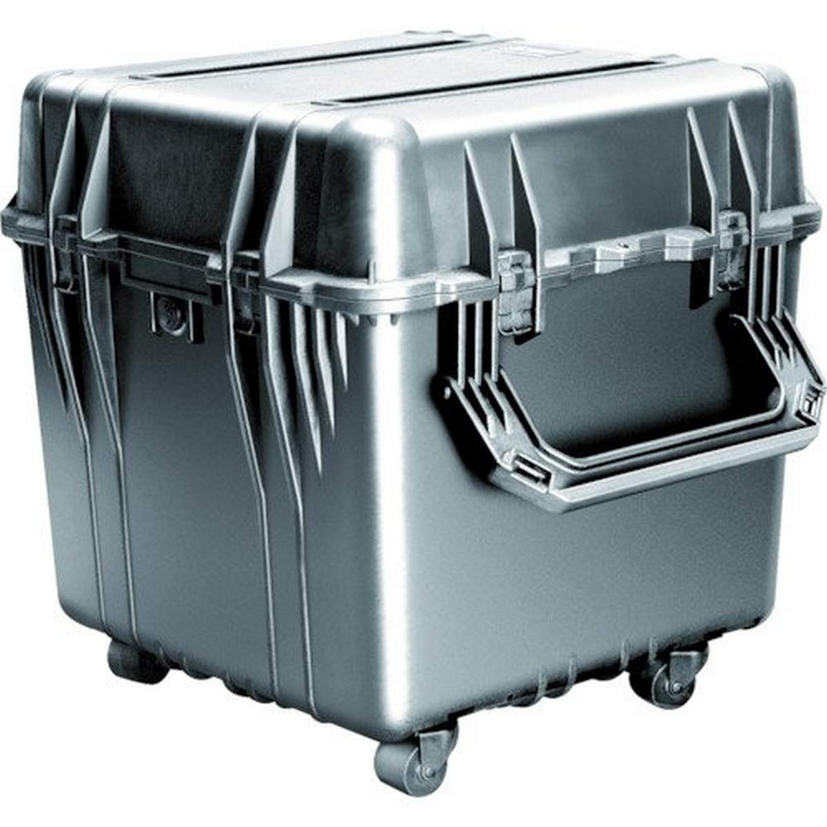 Pelican 0350 Protector Case