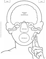 The The Body Book: Easy-to-Make Hands-on Models That Teach