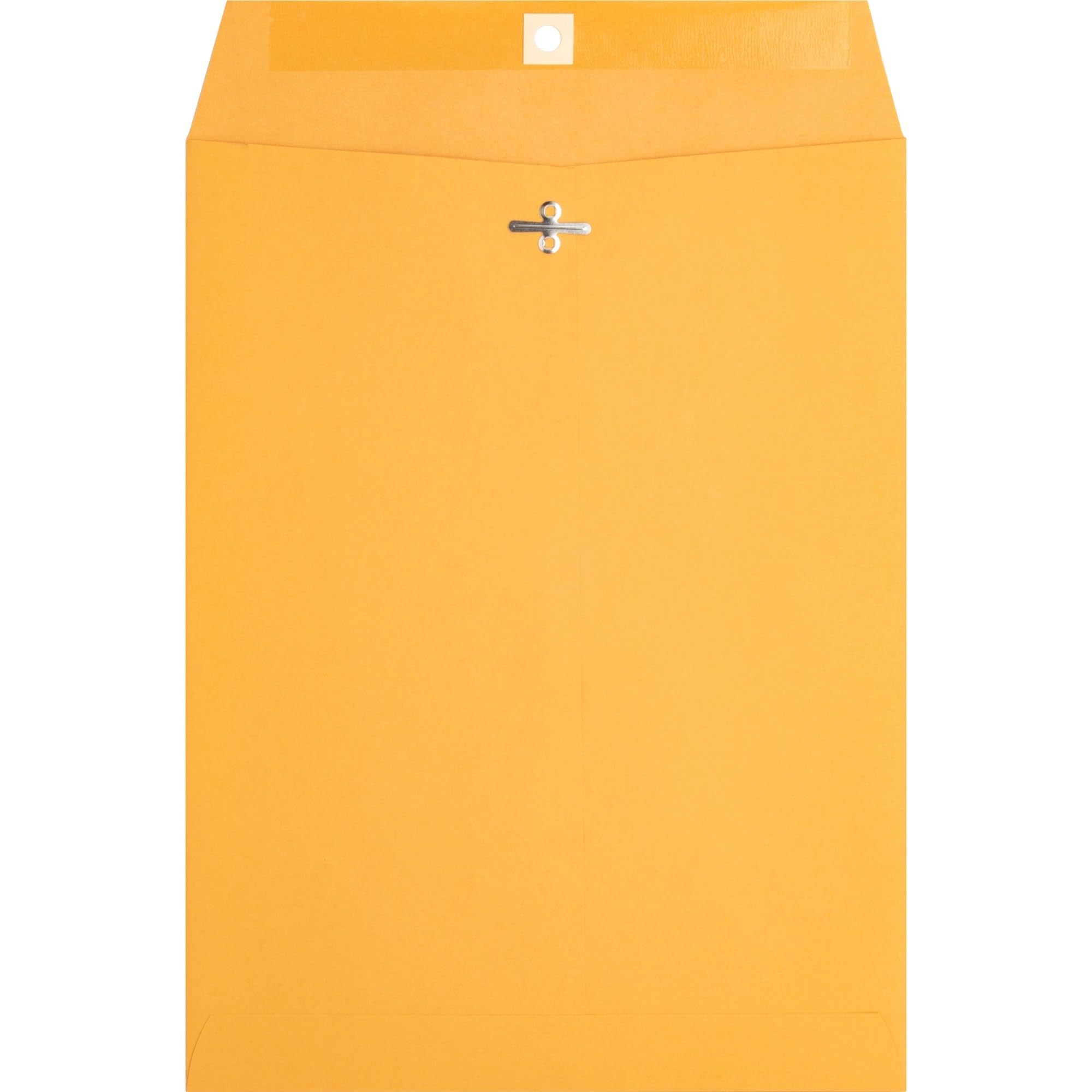 Business Source BSN36663 - Business Source Heavy-Duty Clasp Envelopes