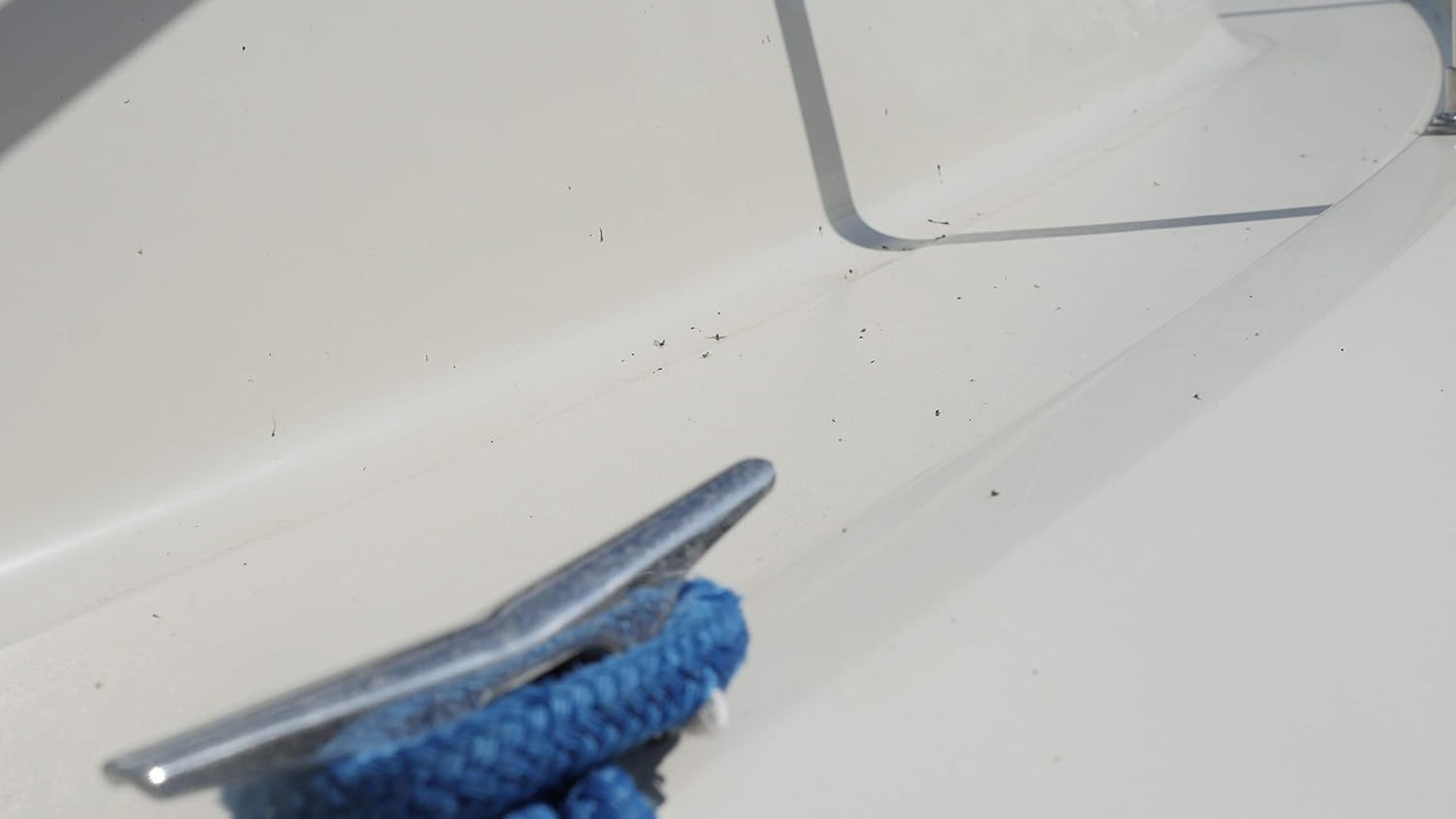 303 Multi-Surface Cleaner - Safely Cleans All Water Safe Surfaces - Ultimate Cleaning Power - Rinses Residue Free