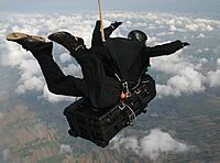 Pelican 1650 Protector Case with Wheels and Retractable Handle