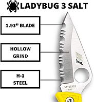 Spyderco Ladybug 3 Lightweight Lockback Folding Knife