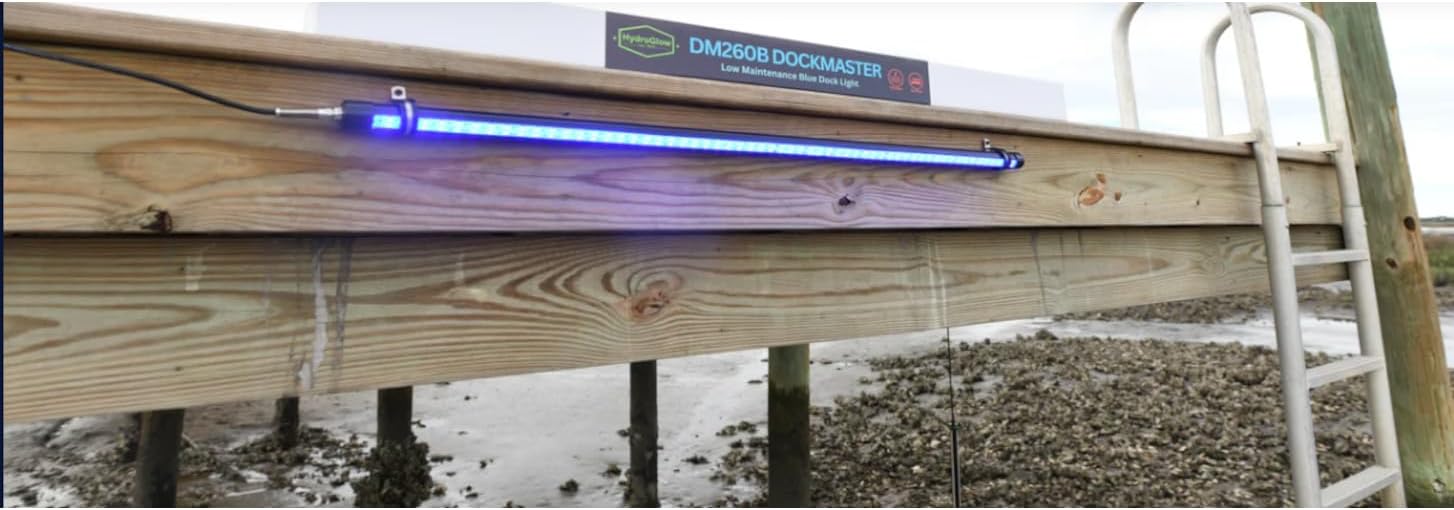 LED Dock Master Blue - Dock Mounted Fishing Light, 3,000 Lumen Output, 20-ft Waterproof Cord