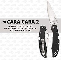 SPYDERCO Byrd Folding Knife - G-10 Handle, 8Cr13MoV