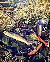 OUTDOOR EDGE Fish & Bone Folding Fillet Knife with 5.0" 440A Stainless Blade - Pocket Clip