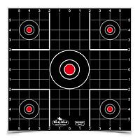 BIRCHWOOD CASEY Dirty Bird Sight-In Splattering Targets
