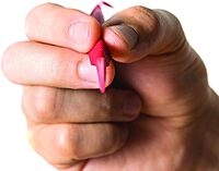 Real Avid Gun Detailing Brush Set & Pick Set: 12 Gun Cleaning Tools with Soft Bristle and Stiff Bristle Scrub Brushes