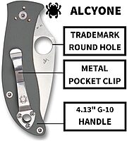 SPYDERCO Value Folding Utility Knife with CTS BD1 Stainless Steel Blade and Gray G-10 Handle, PlainEdge