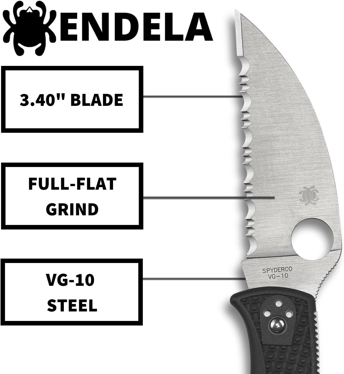 Spyderco Endela Wharncliffe Lightweight Knife with VG-10 Stainless Steel Blade and FRN Handle - SpyderEdge - C243FSWCBK
