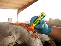All-Weather Paintstik Livestock Marker
