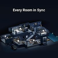 C10 MKII WiiM Edition smart speaker