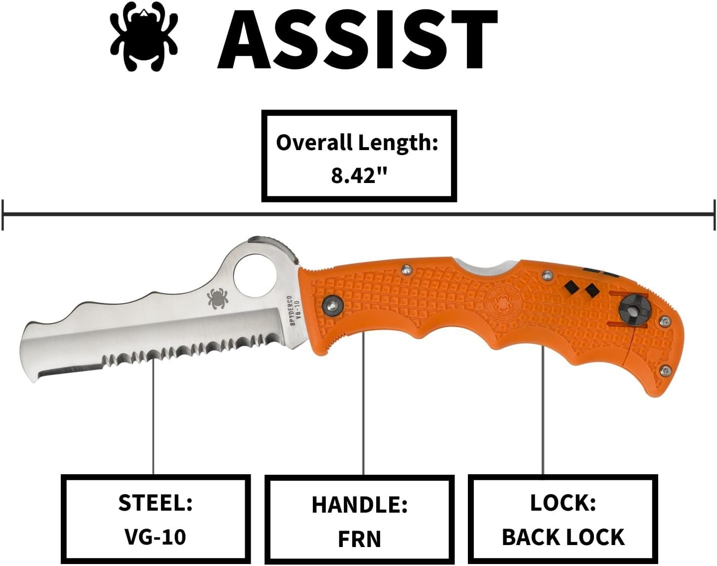 SPYDERCO Assist Rescue Jr Folding Knife