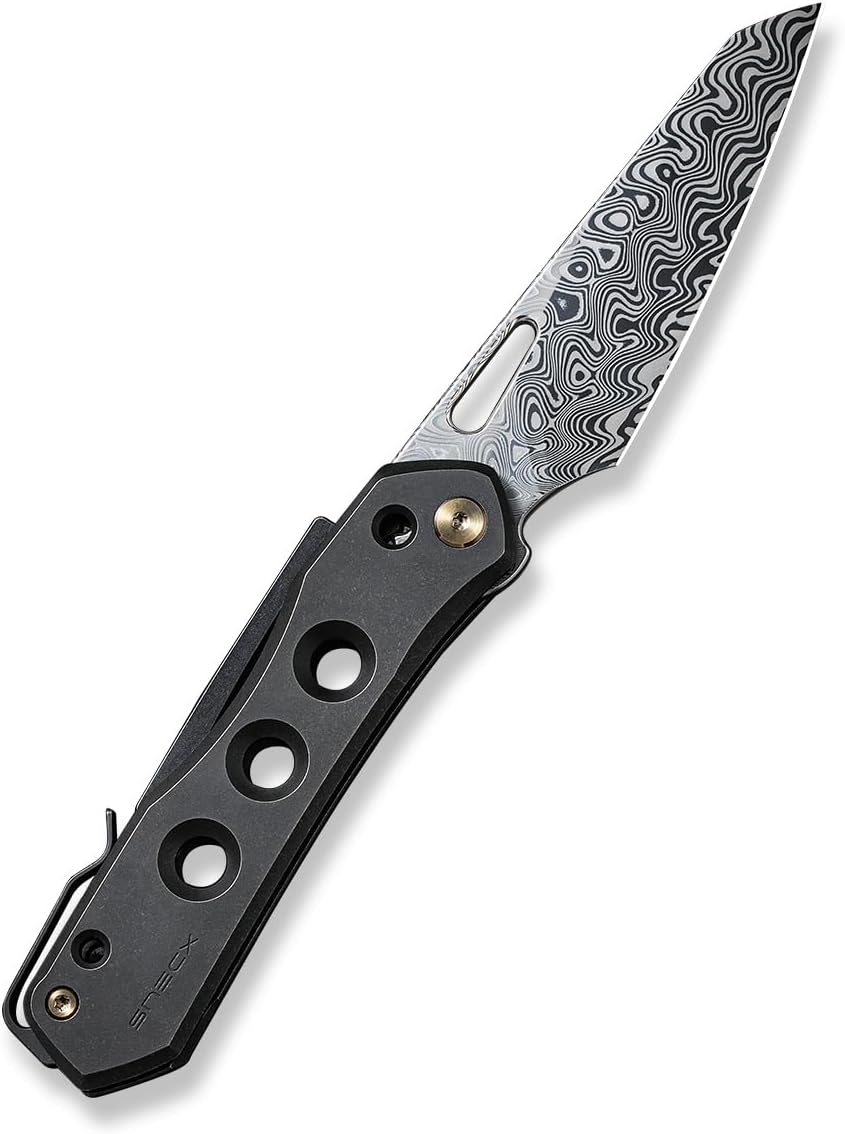 We Knife WE21031DS1: Vision R