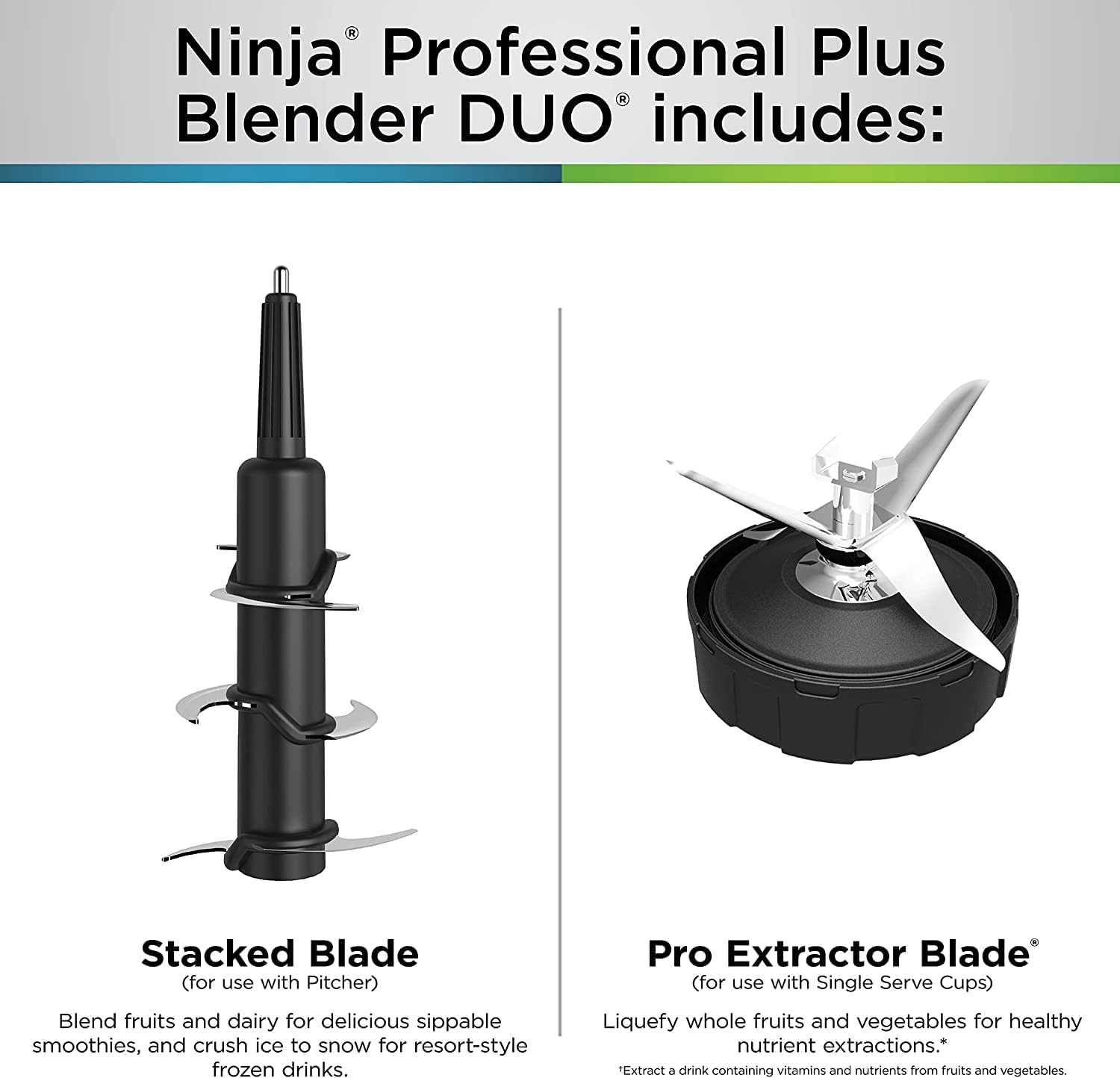 NINJA Professional Plus Blender with Auto-iQ, 1400 Peak Watts, 72-oz Total Crushing Pitcher
