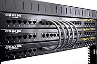 Black Box 6IN Black CAT6 550MHz Snagless UTP Patch Cable (RJ45 M/M)