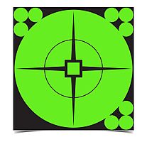 Birchwood Casey Target Spots Self-Adhesive High-Contrast Atomic Green Paper Shooting Targets