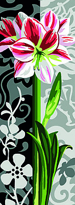 Lilium Moderno Lilium Moderno