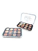 SOMBRA DE OJOS 12 COLORES USHAS