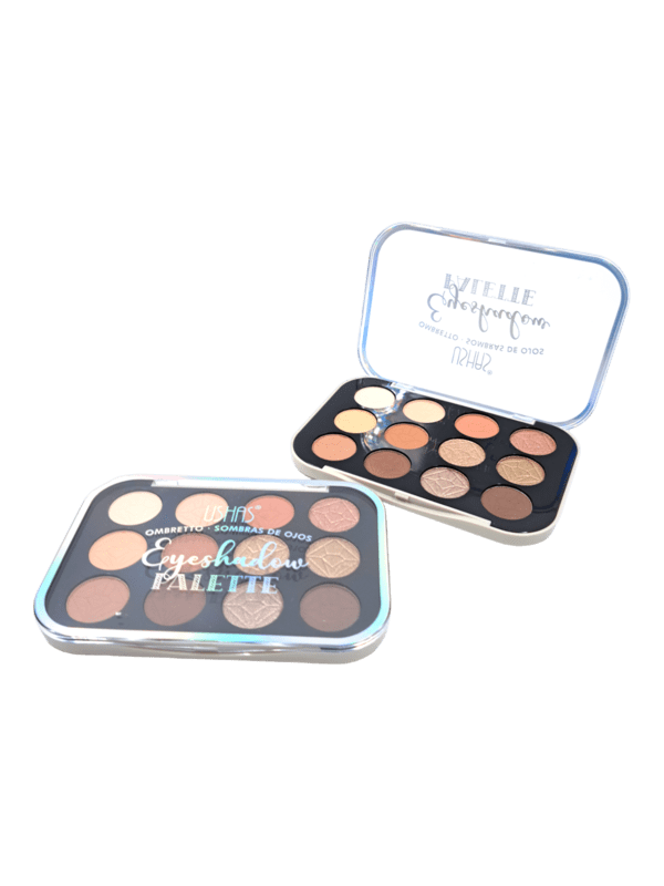 SOMBRA DE OJOS 12 COLORES USHAS
