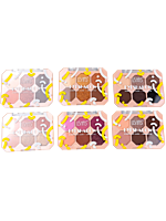 SOMBRA DE OJOS MINI 6 COLORES USHAS