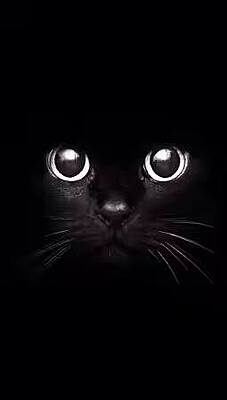 LAMINA DE PVC-3D - 3D-1