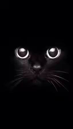 LAMINA DE PVC-3D - 3D-1