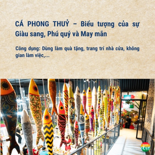 Cá Phong Thủy Con KYMVIET Nhiều Màu Sắc Cá Phong Thủy Con KYMVIET Nhiều Màu Sắc