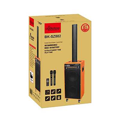 Oudiobop BK-SZ802 Portable Rechargeable Sound System with Dual Microphones
