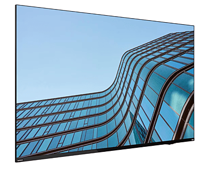 ThinkVision E55
