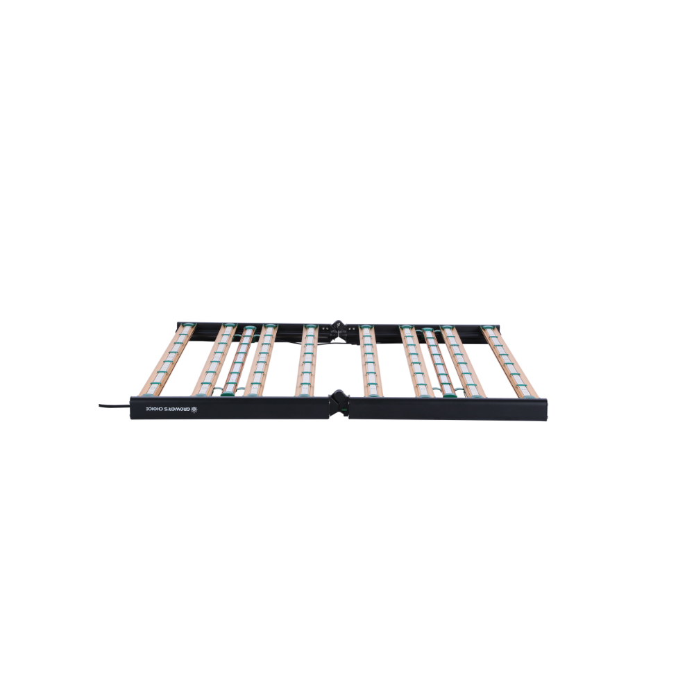 UV-R Bloom Booster Set