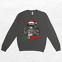 Six Seven Racoon Six Seven Racoon