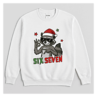 Six Seven Racoon Six Seven Racoon