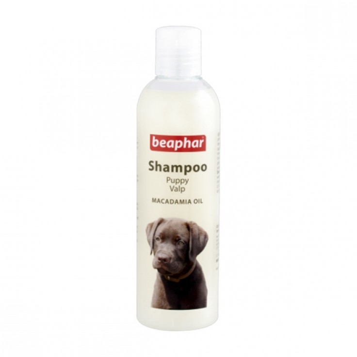 BEAPHAR SHAMPOO MACADAMIA OIL FOR PUPPIES 250ML BEAPHAR SHAMPOO MACADAMIA OIL FOR PUPPIES 250ML