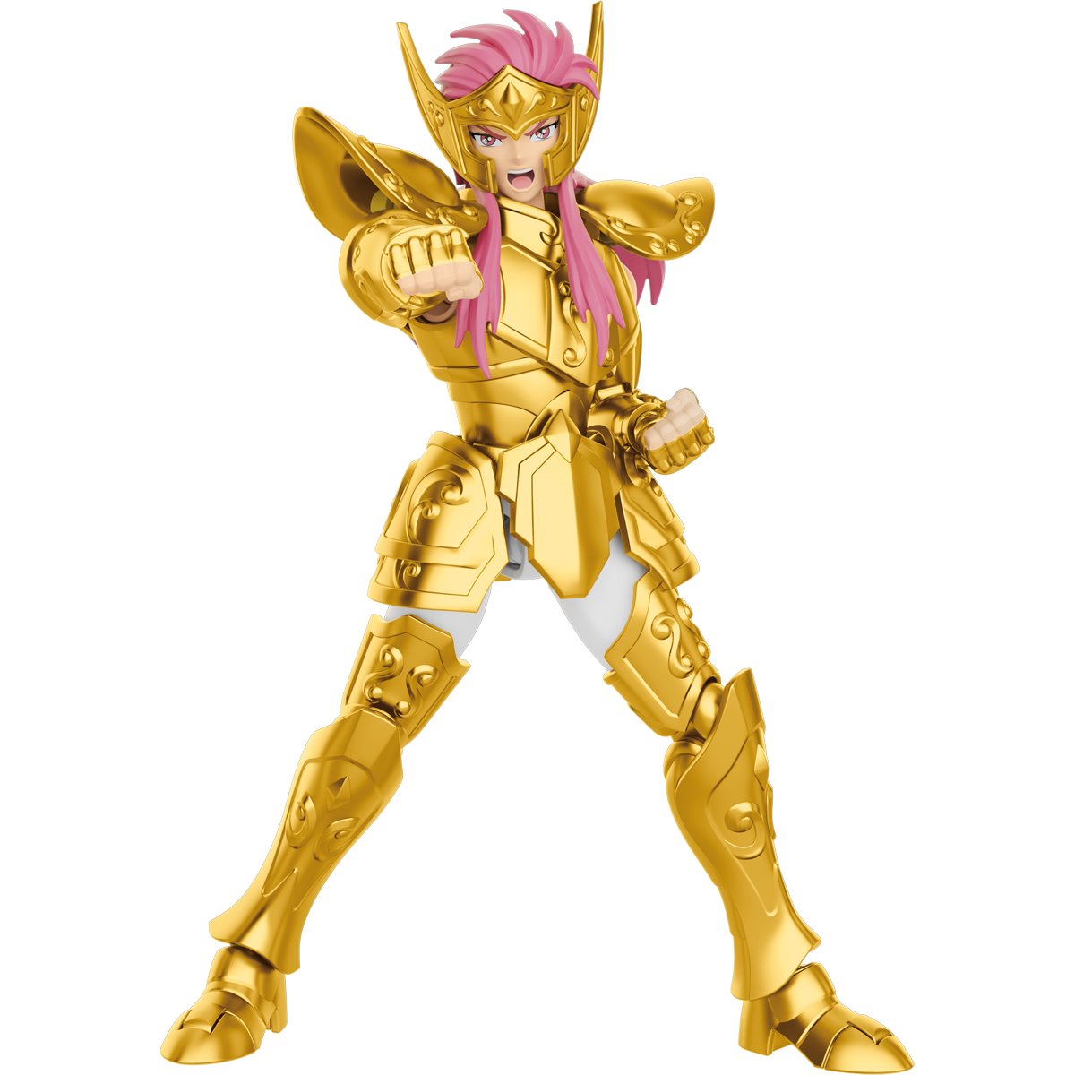 Aquarius Camus Saint Seiya Model Kit