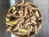 Mango Ginger Seed