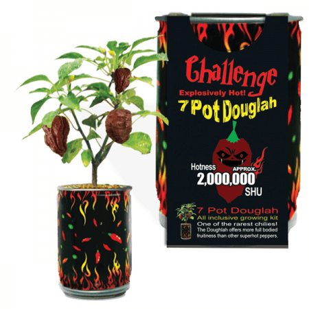 Trinidad 7 Pot Douglah Growing Kit