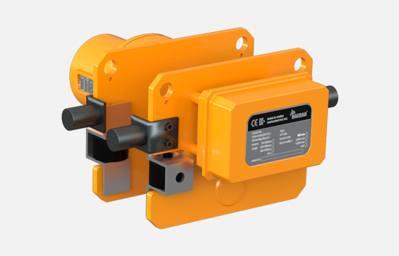 DAESAN Electric Twin Hook Hoist (DSM & EDSM Model)