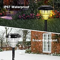 Solar Stake Light - Multi-Coloured