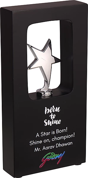 GODREJ STATUES TROPHY