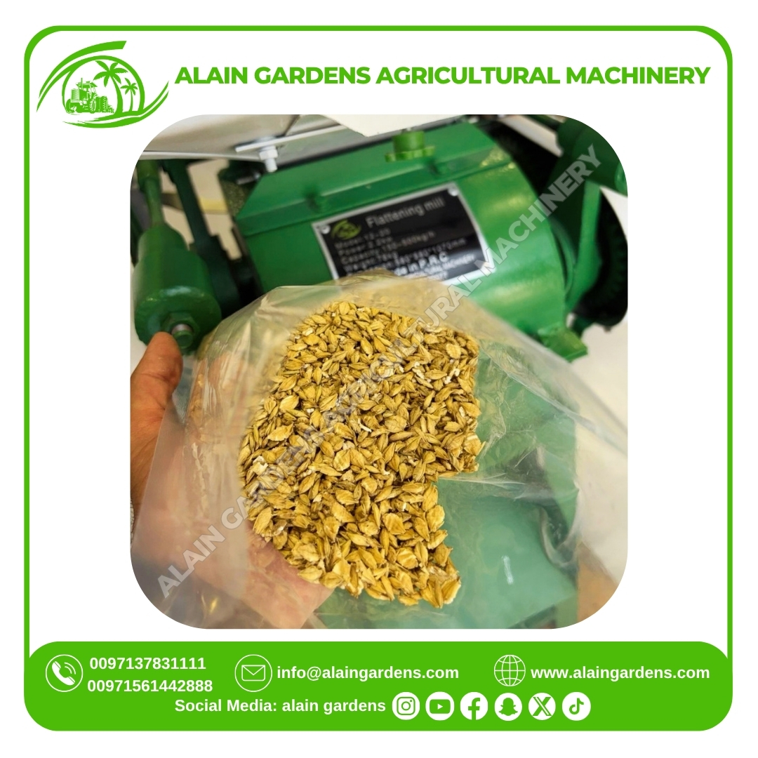 FLATTENING MILL ALAIN GARDENS 3HP