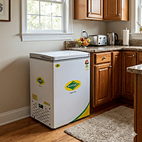 Western D150H164 corrosion resistant body deep freezer side profile.