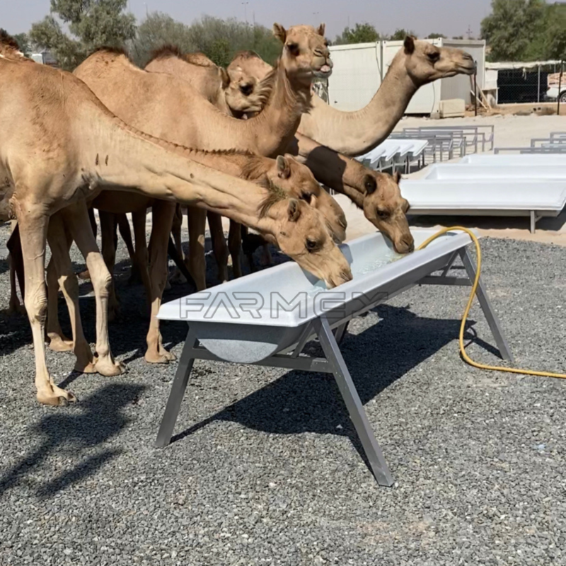 Farmex Trough 200 Liter for Camel