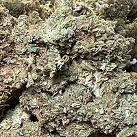 Maui Wowie Greenhouse Standard