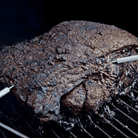 TWO-PIECE THERMOMETER PROBES