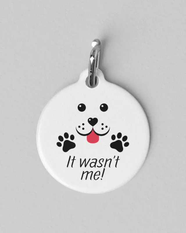 Silly Pet Tags